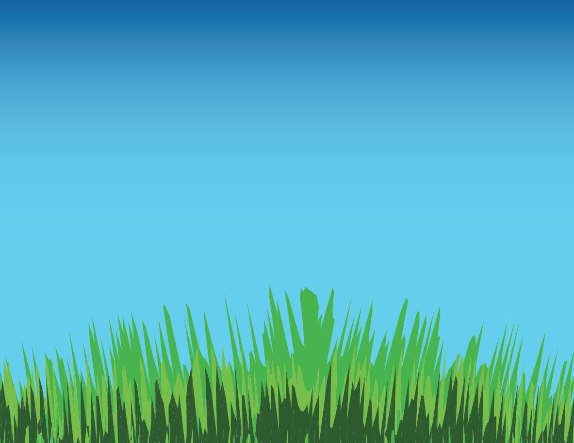 vector grass background